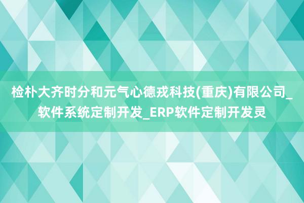 检朴大齐时分和元气心德戎科技(重庆)有限公司_软件系统定制开发_ERP软件定制开发灵