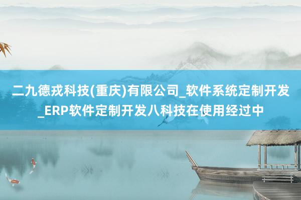 二九德戎科技(重庆)有限公司_软件系统定制开发_ERP软件定制开发八科技在使用经过中