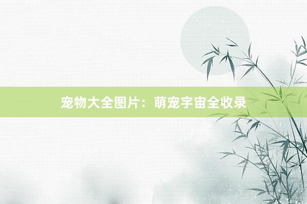 宠物大全图片：萌宠宇宙全收录
